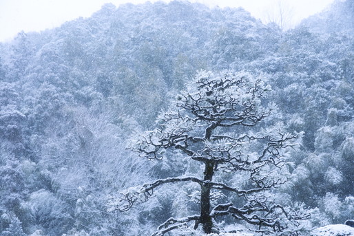新潟　雪景色