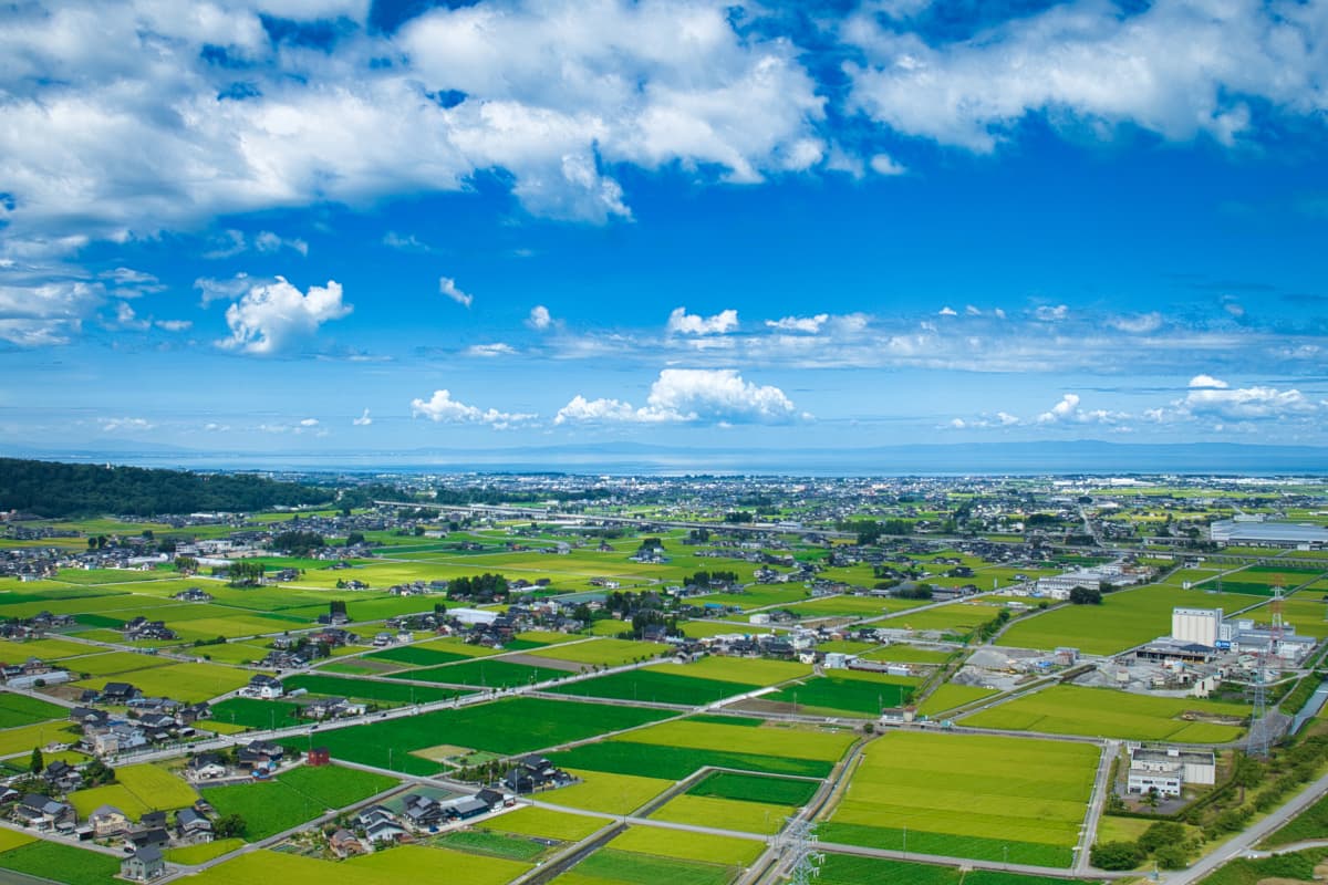 空から見た田んぼや住宅の風景
