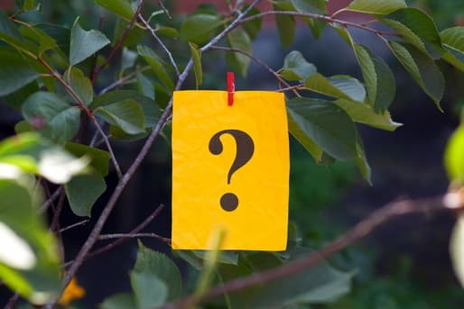 入湯税が免除されることはある？ 