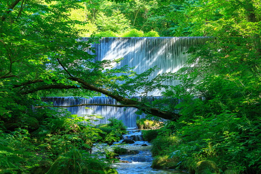 日野市