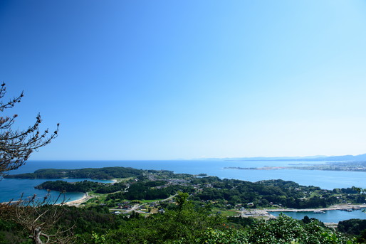 海