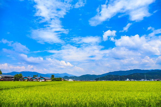 田舎の空
