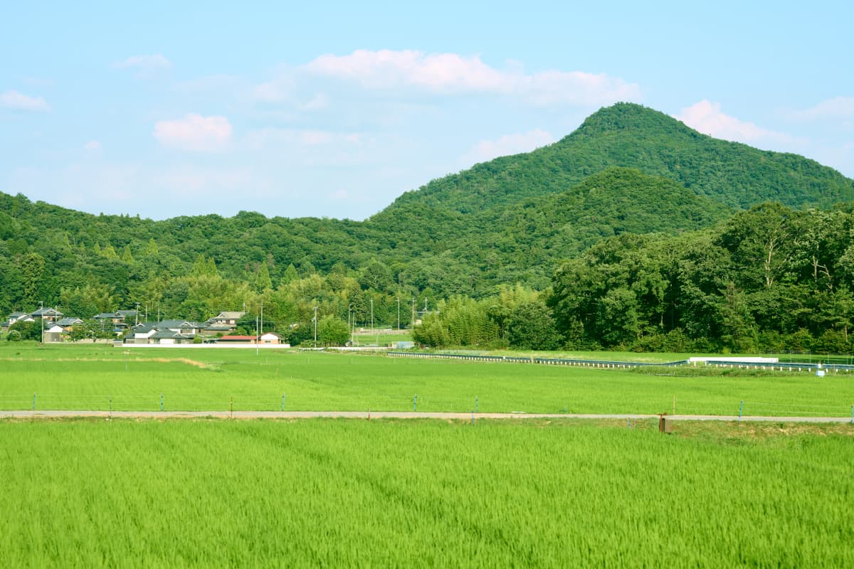 緑豊かな農村