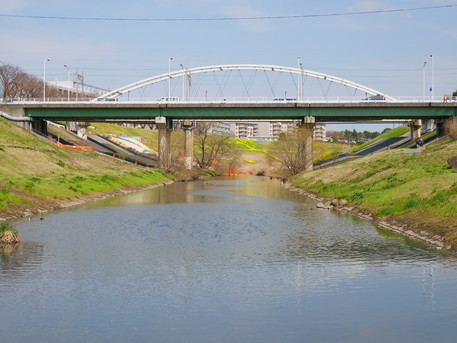 流山市の公園