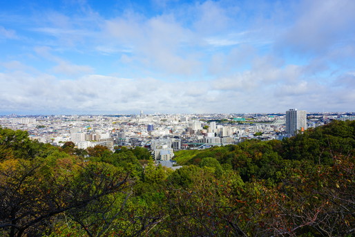 多摩区の緑地