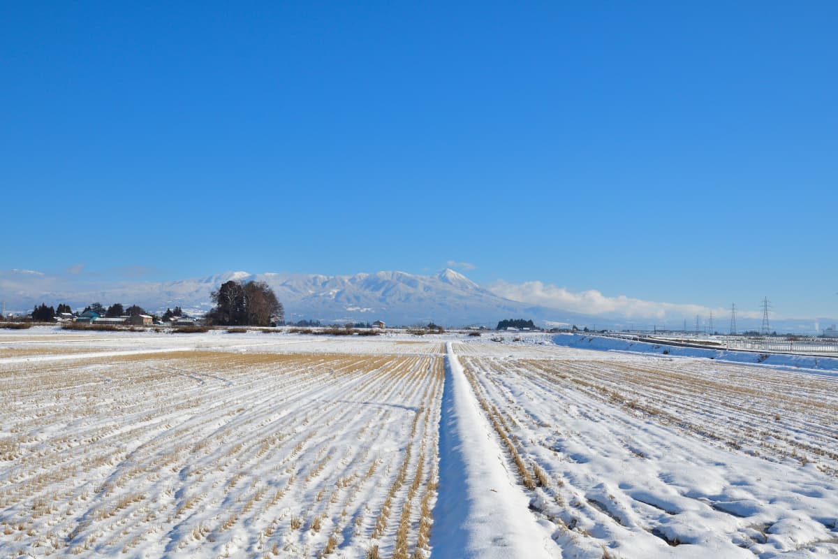 西会津の田園風景