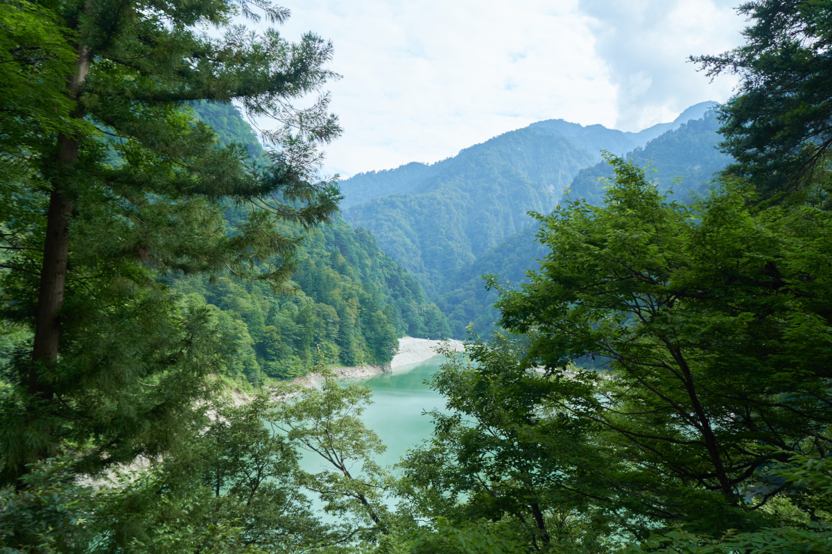 黒部市の黒部川