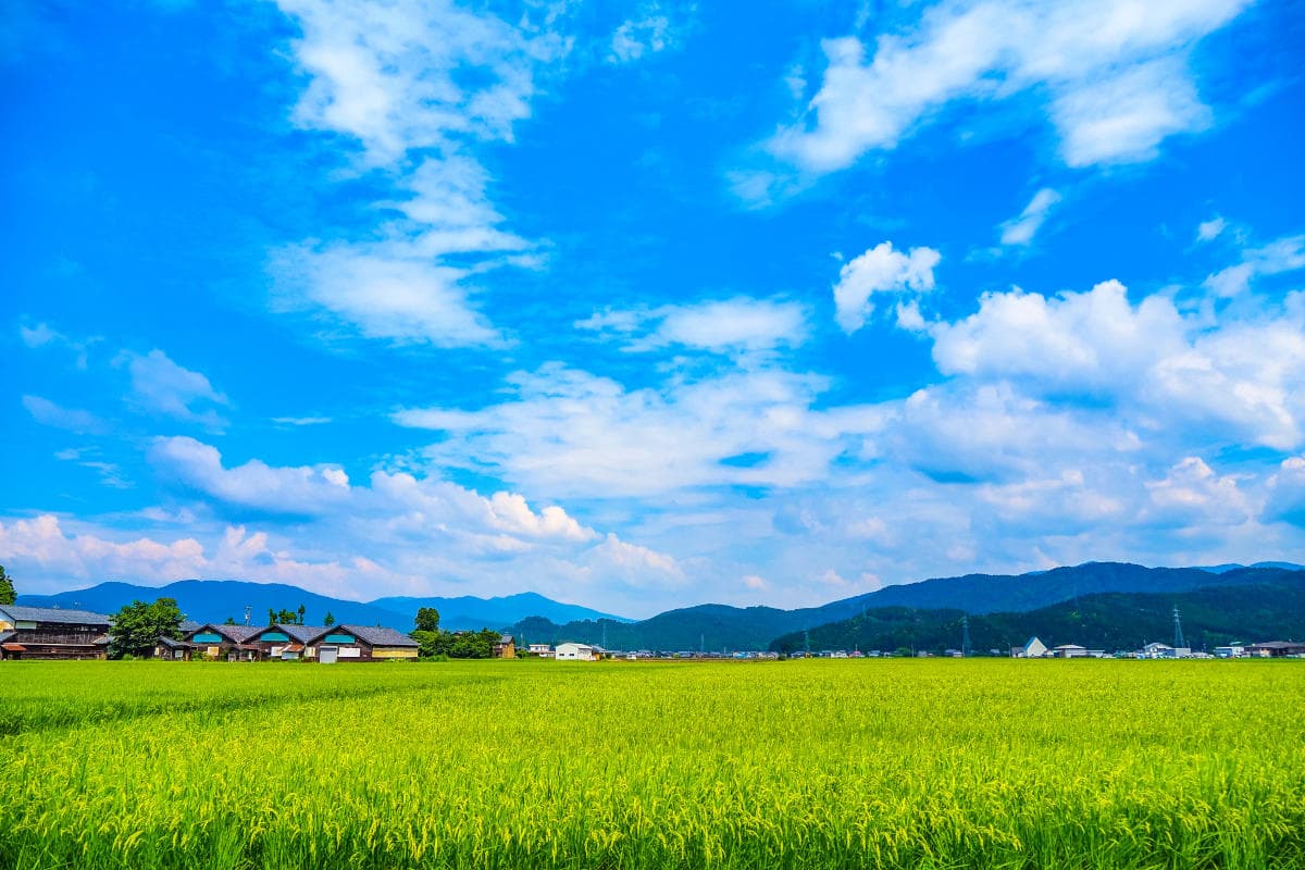 青空と畑