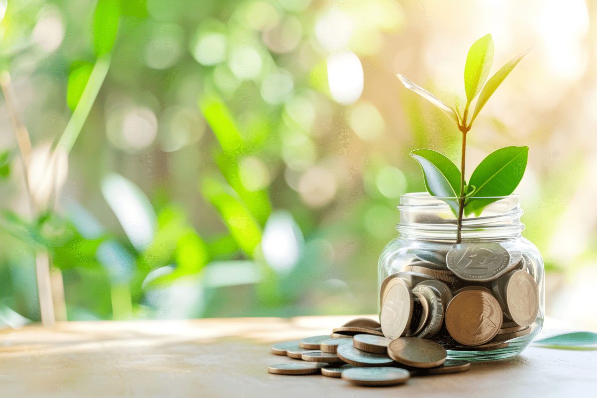 瓶の中に入ったコインと植物