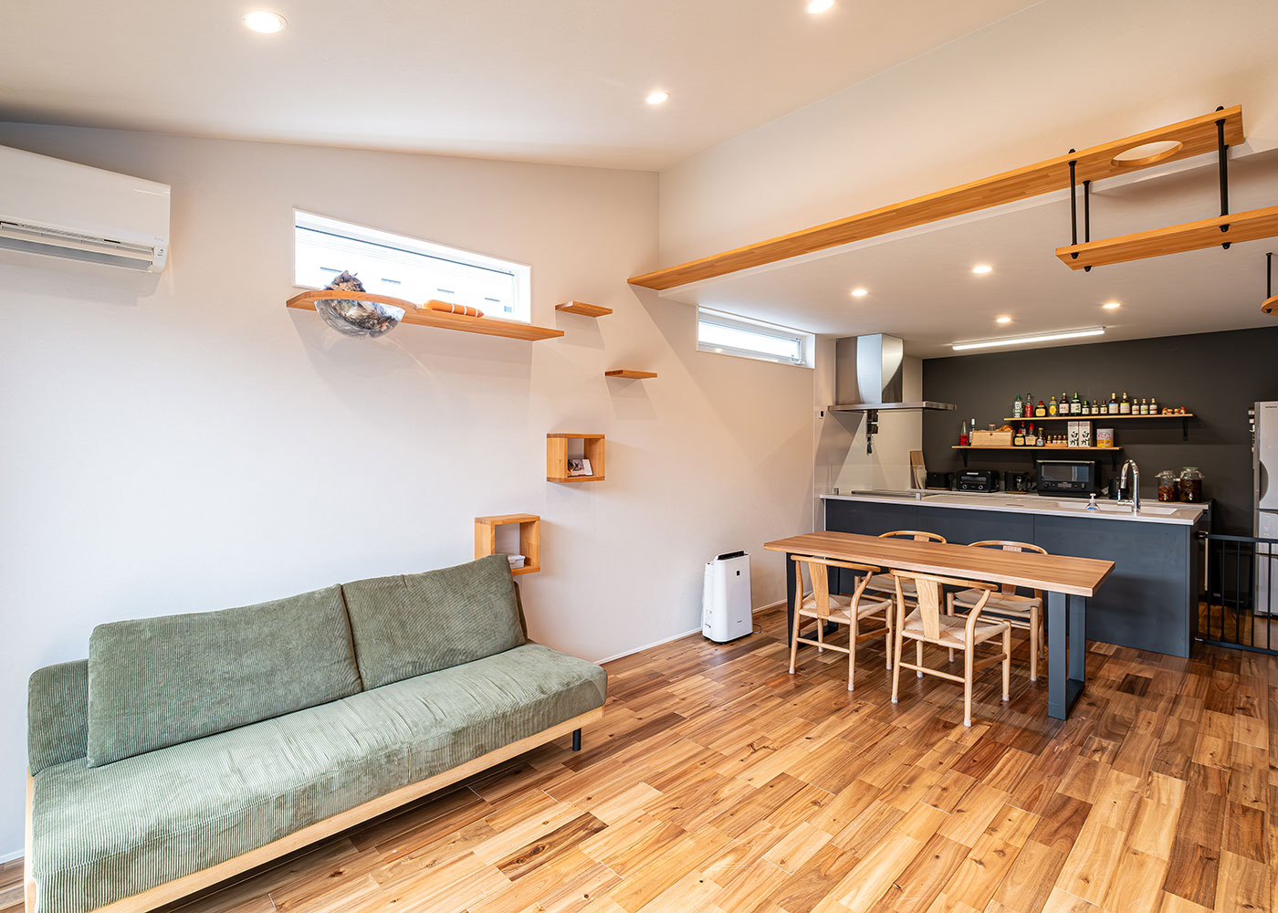 R＋house御殿場（岳南建設）【省エネ、ペット、建築家】ゆったりと広めにしたリビング。透明ボウルをつけたキャットステップを設け、愛猫との適切な距離感を保ちながら、子育てもしやすい空間になっている