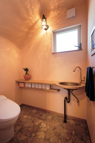 トイレは洞窟のイメージで奥の壁と天井をアールに。不思議と落ち着ける空間だそう