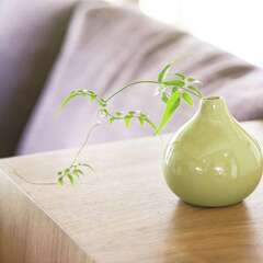 お客さまの写真