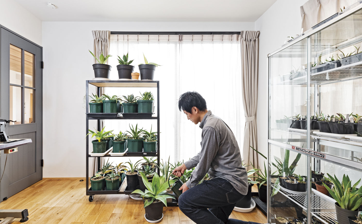 チェックハウス｜植物が飾られたワークスペース。窓からの自然光が作業を明るくし、快適な環境を作り出している。
