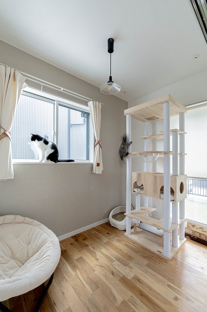 大進建設（群馬）｜ペット用スペースでは、キャットタワーが設置され、猫たちが自由に遊べる環境が整っている。窓からの自然光も心地よく、リラックスした時間を過ごせる場所。