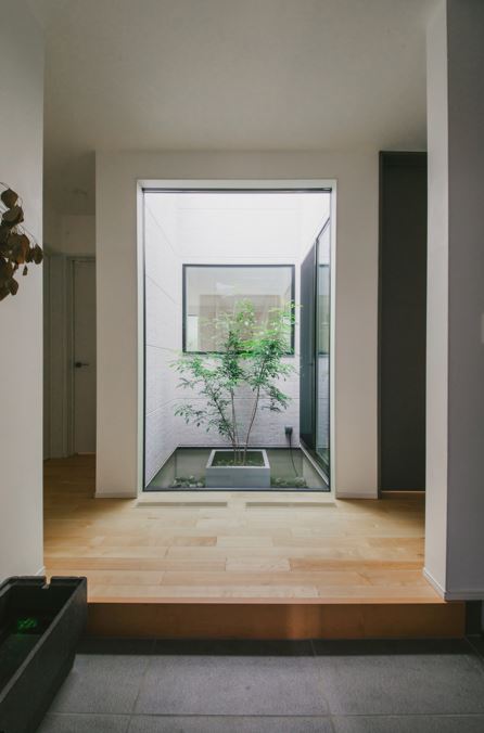 nattoku住宅【デザイン住宅、子育て、収納力】玄関を入って正面に見える坪庭に目線が抜けていく。大きなピクチャーウインドウ越しに見えるシマトネリコが、額縁で切り取った写真のように美しく見える