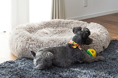 お客さまの写真