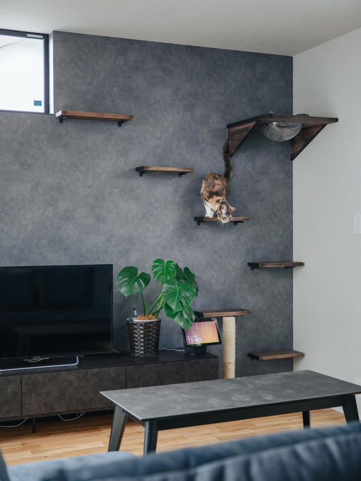 登る・降りる・ジャンプするといった上下運動ができるキャットウォーク