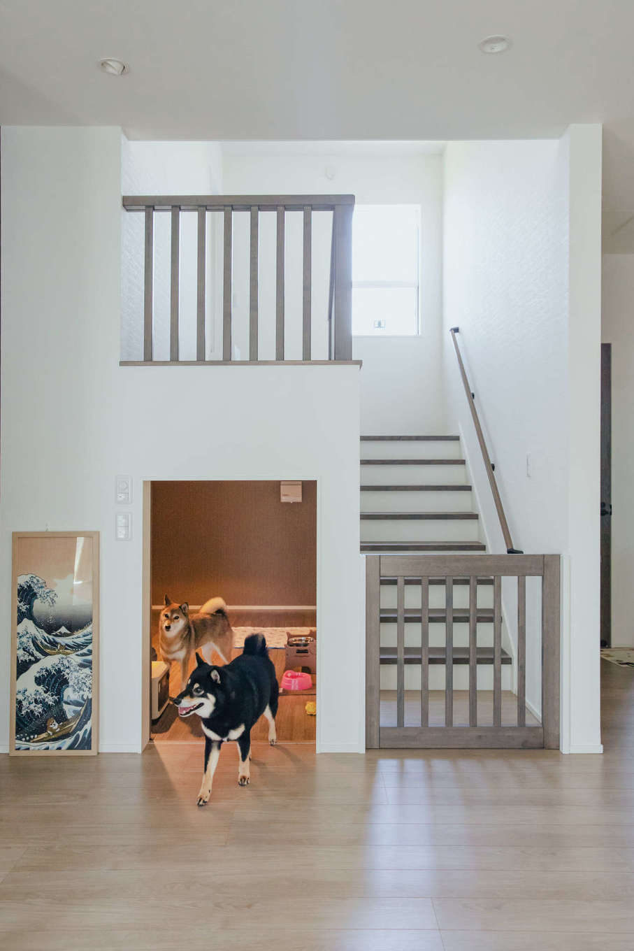 エフエフ住宅【ペット、平屋、スキップフロア】スキップフロアの下に設けた愛犬スペース。食事用のお皿やおもちゃなどをまとめて置けるので、LDKがすっきり片付く