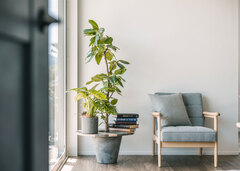 軒を出して日差しをコントロールしているから、夏場は室内まで直射日光が入らず冷房効率UP。冬場は室内まで日差しが入り暖かな空間を実現する