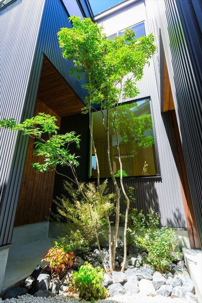 温戸ライフ【自然素材、狭小住宅、間取り】玄関に設けた坪庭。1階はもちろん、2階LDKからも眺められ、光と風を家の中へと届けてくれる。夜はシンボルツリーのアオダモが美しくライトアップされ、その陰影がさらに豊かな表情を見せる。そんな庭の植栽も『温戸ライフ』なら任せて安心だ