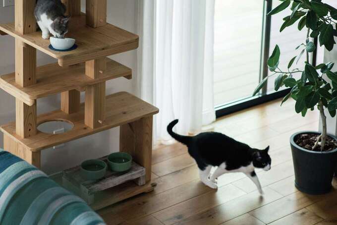 KUREKEN HAUS（榑林建設）｜床は風合いと硬さのバランスからオークを選択。壁の漆喰が心地よさをもたらしつつ、光をやわらかく広げていく