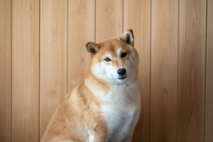 施主様の写真