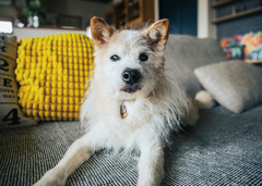 お客さまの写真