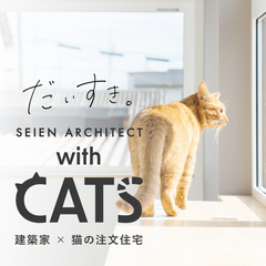 【猫も人も心地よい家づくり】注文住宅の相談会＠藤枝市