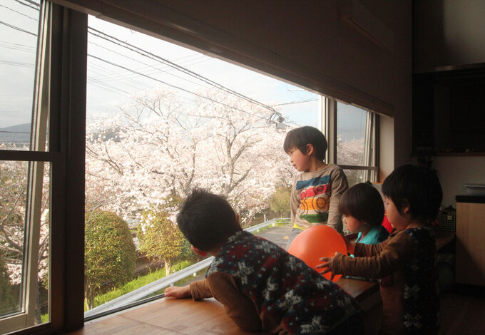 春にはリビングの窓から綺麗な桜が楽しめる