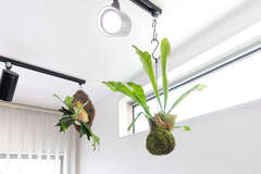 お客さまの写真