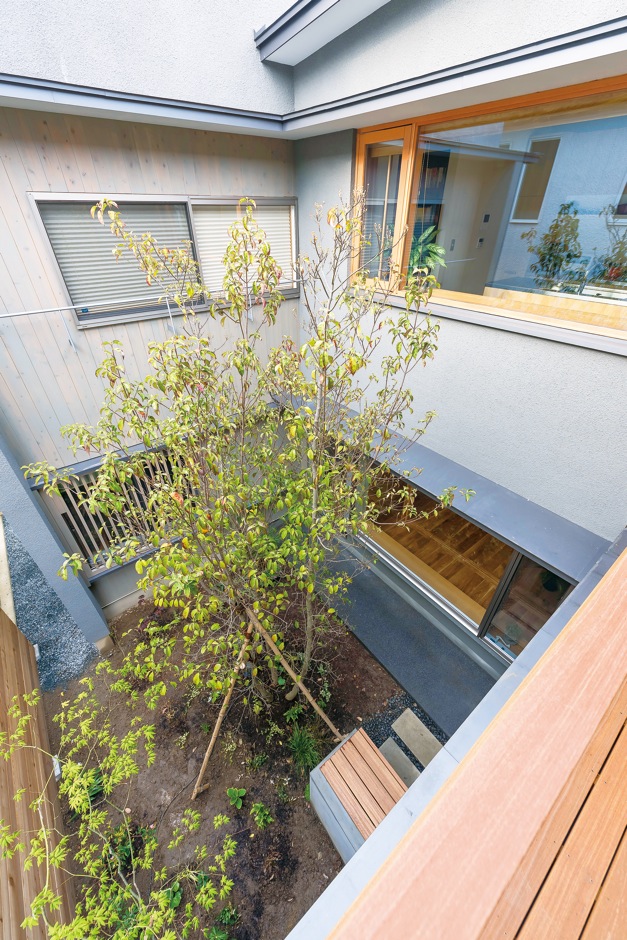 irohaco（アヴァンス）【デザイン住宅、子育て、間取り】２階リビングから中庭を見下ろす。日差しにキラキラ輝く緑をこの高さから眺められるのが楽しい