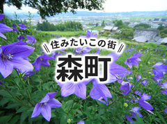 「森町」の家づくりの補助金や土地の相場は？住んでいる人の声やサポート制度も紹介｜イエタテ家づくりガイド