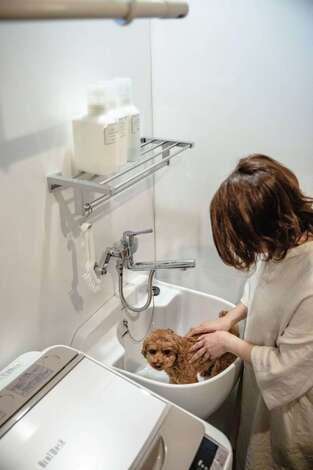 ainoa.life くらはし建築｜ランドリーの洗い場は愛犬のシャンプーにも活躍