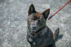 お客さまの写真