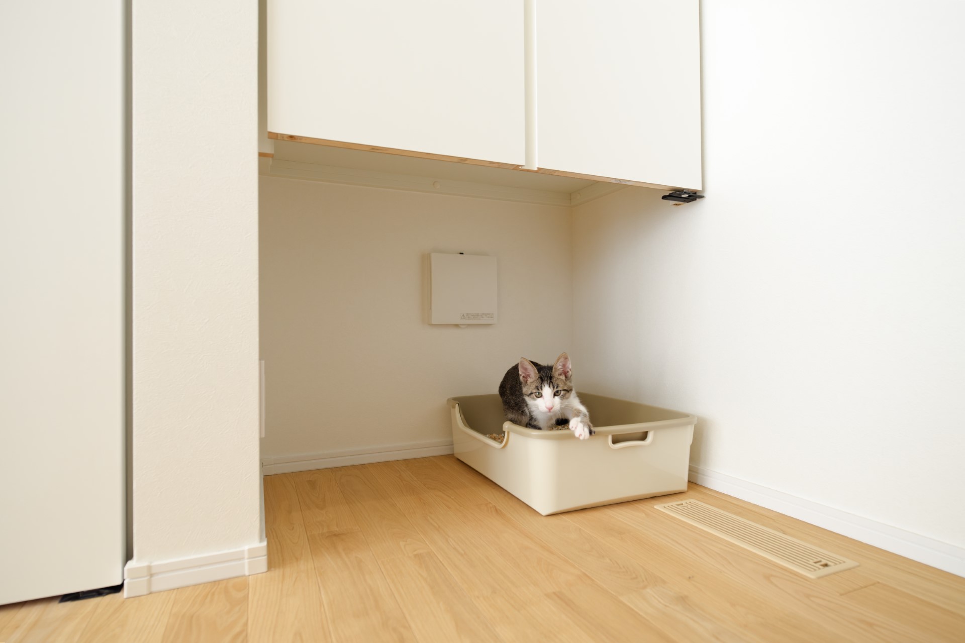 アサヒグローバルホーム｜リビング収納の下部スペースに換気扇を設置した、猫ちゃんのトイレ空間。