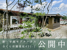 通り土間のある平屋 モデルハウス見楽会 さくら市｜注文住宅