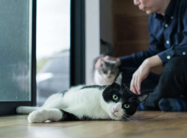 KUREKEN HAUS（榑林建設）｜求めたのは心地よさが、ずっと続くこと。「目に見えない部分を大切にしました」とご主人