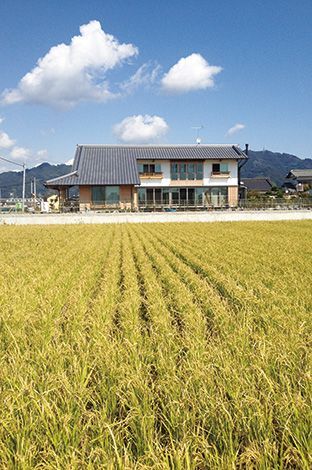 周囲に田んぼが広がる中、広くどっしりとした屋根を広げている