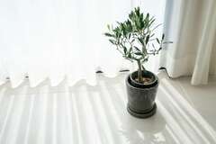 お客さまの写真