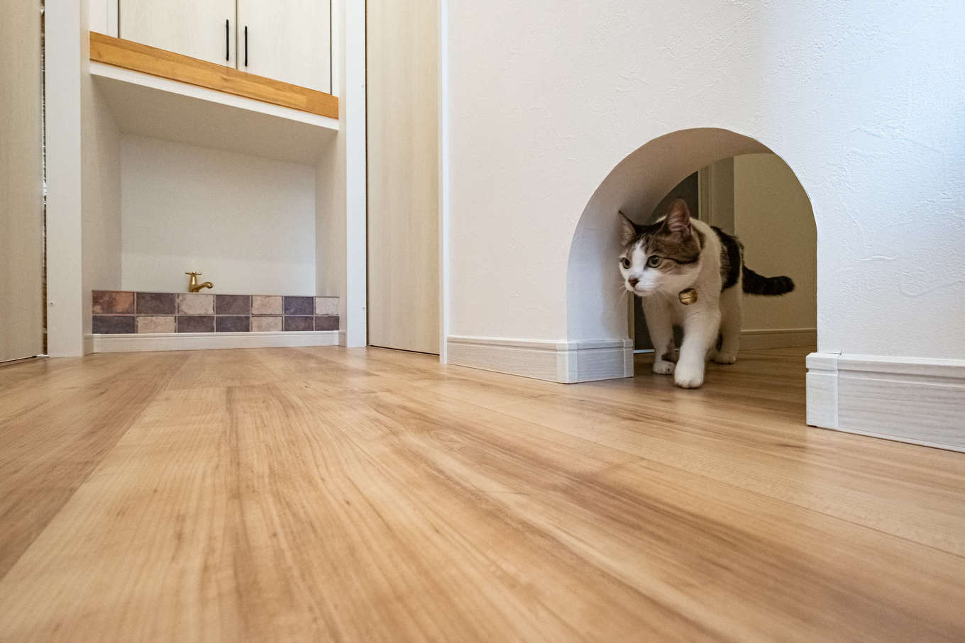 アフターホーム【省エネ、間取り、ペット】猫スペースへの出入りはリビングからも見える位置にある、小さなアーチから。洗面脱衣場、キッチン、リビング入り口のドアを閉めておけば、猫の行動範囲が限られるので、外出も安心