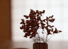 お客さまの写真