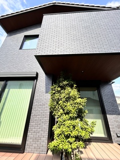 黒のタイルが印象的なモダンな住宅の外観。木と緑のコントラストが美しく、スタイリッシュで落ち着いたデザイン