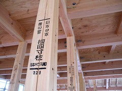 自然あふれる住まい