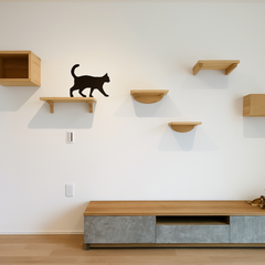 猫用の壁面ステップが取り付けられたキャットウォーク。猫が自由に遊べる工夫が凝らされている。シンプルなデザインがインテリアとも調和している。
