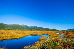 群馬で家を建てるにはいくらかかる？土地・建物の費用目安と進め方のイメージ