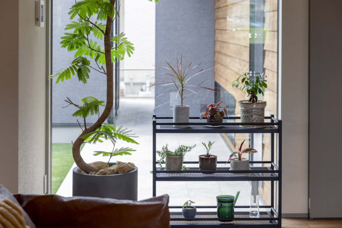 チェックハウス｜大きな窓から見える中庭が印象的なリビング。シンプルな家具と植物がナチュラルな雰囲気を演出している。