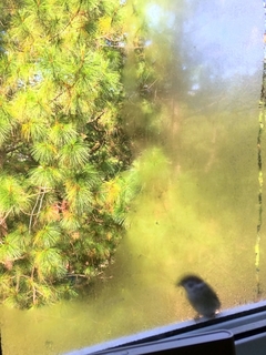 窓の役割～寒い時期こそ今一度復習を～のイメージ