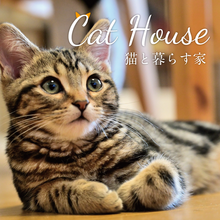  【モデルハウス】 猫と暮らす家 in 浜松市中央区篠原町