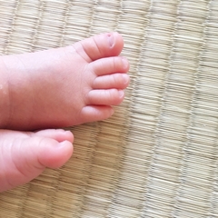 和室は必要か？のイメージ