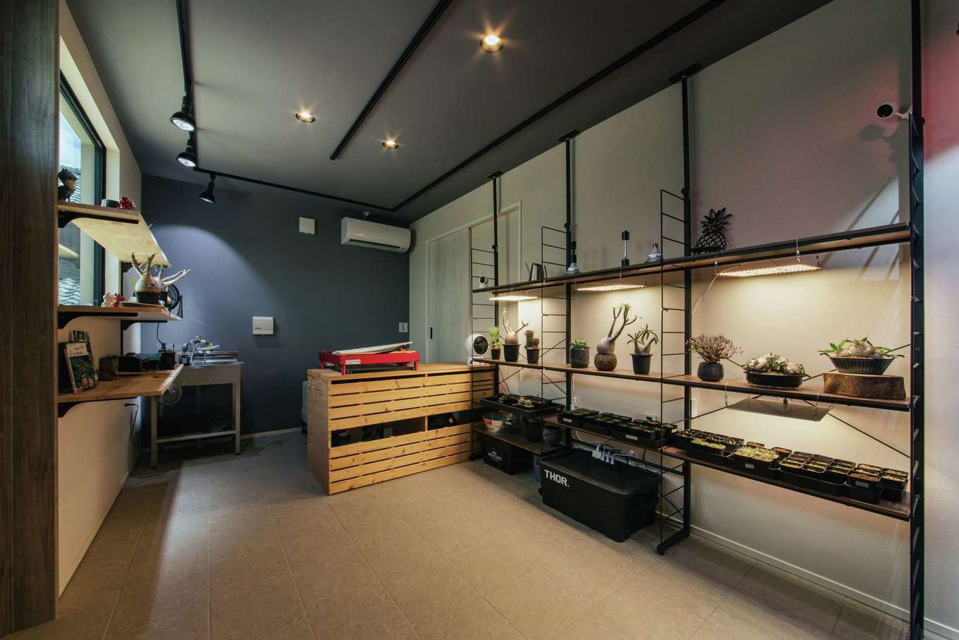 子育て安心住宅 Design Craft Office【デザイン住宅、趣味、平屋】広さ8畳の作業スペース。棚には生育中の塊根植物がズラリと並ぶ。ご主人はここで塊根植物を交配し、新しい株を種から育て、苗をマルシェやネットで販売している。希少な植物とあって、固定客も増えてきたという